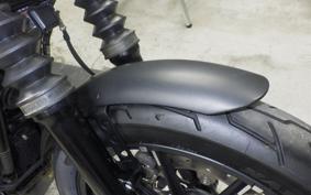 HARLEY XL883N 2019