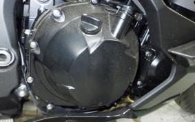 KAWASAKI NINJA 1000 SX 2024 ZXT02K