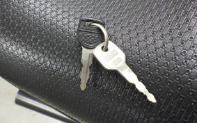 KAWASAKI Z1000 R 2009