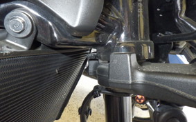 KAWASAKI Z900RS 2024 ZR900K