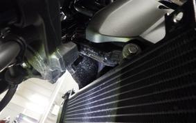 KAWASAKI Z900RS 2024