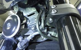 KAWASAKI Z900RS 2022 ZR900C