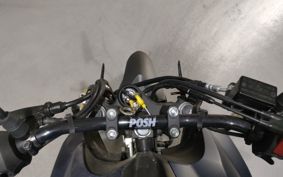 YAMAHA FZ25 RG42
