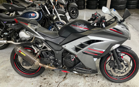 KAWASAKI NINJA 250 EX250L