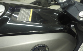 YAMAHA YZF-R25 1999 RG10J