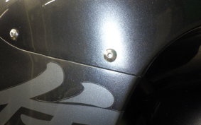 SUZUKI GSX1300R HAYABUSA 2006