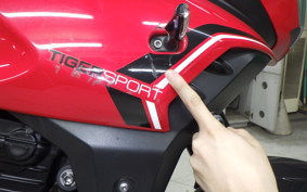 TRIUMPH TIGER 1050 2013