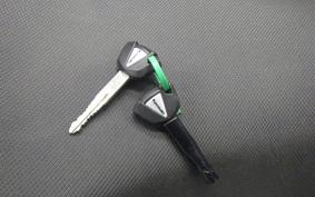 KAWASAKI NINJA 250 2021 EX250P