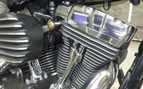 HARLEY FXDL 1580 2013