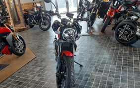 DUCATI DUCATI  SCRAMBLER  ICON 2021 K102