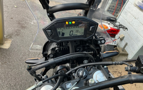 HONDA CRF250 RALLY MD44