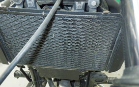 KAWASAKI ELIMINATOR 250 V