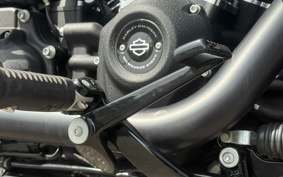 HARLEY FXBBS 2021 YYK