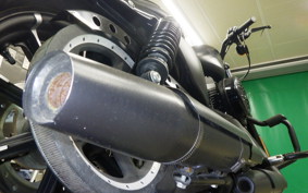 HARLEY XL883N 2018