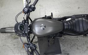 HARLEY XL883N 2018