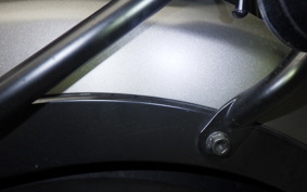 HONDA REBEL 250 A 2019 MC49