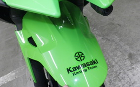KAWASAKI NINJA 250 2 2025 EX250Y