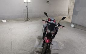 KAWASAKI Z250 EX250P