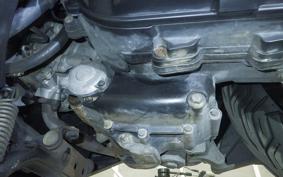 YAMAHA MAXAM 250 SG17J