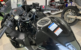 KAWASAKI NINJA 250 ABS EX250P
