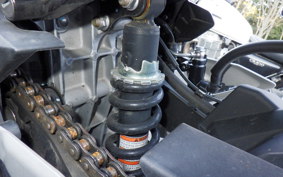 KAWASAKI NINJA 250 EX250P