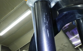 KAWASAKI KLX250D TRACKER