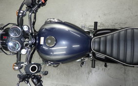 KAWASAKI W800 2022 EJ800E