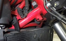 DUCATI HYPERMOTARD 820 2014