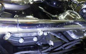 HARLEY FXST1750 2024
