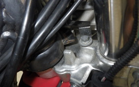 KAWASAKI SUPER SHERPA 2018 KL250G