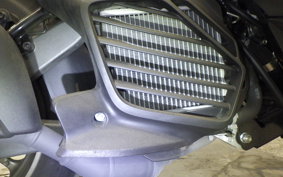 YAMAHA X FORCE SG79J