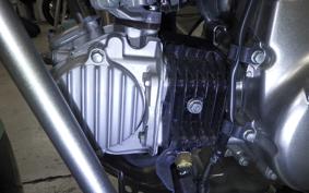 HONDA CT125 HUNTER CUB 2019 JA55