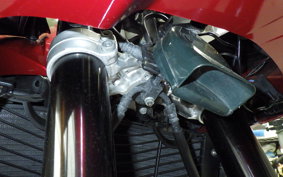 YAMAHA FZ1 FAZER 2015 RN21J