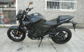 YAMAHA MT-25 ABS RG74J