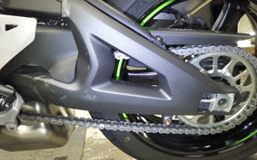 KAWASAKI ZX 10 NINJA ABS 2024