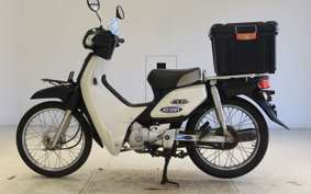HONDA C110 SUPER CUB 2009 JA10