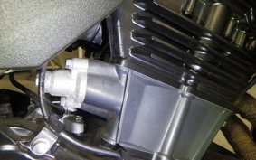 KAWASAKI VERSYS X250Aﾂｱﾗｰ 2023 LE250D