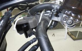 KAWASAKI Z900RS CAFE 2024 ZR900K