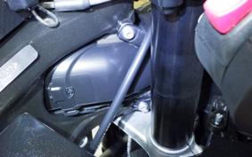 BMW M1000RRMコンペディショ 2025