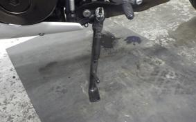 YAMAHA XSR900 GP 2024 RN96J