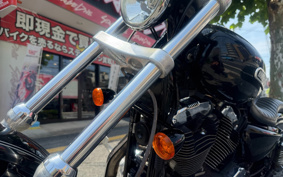 HARLEY XL1200L 2007 CX3