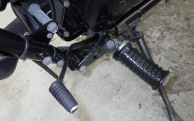 KAWASAKI ELIMINATOR 250 V VN250A