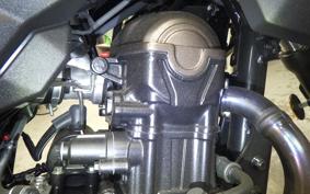 SUZUKI Vｽﾄﾛｰﾑ250SX 2007 EL11L