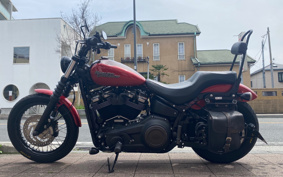 HARLEY FXBB 2019 YJJ