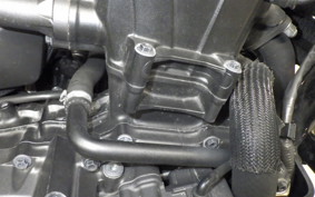 HONDA REBEL 1100 DCT 2021 SC83