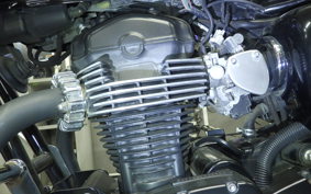 KAWASAKI W800 2011 EJ800A