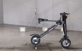 OTHER  ACCESS  ELECTRIC SCOOTER  ..