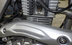 KAWASAKI KLX125 2010 LX125C