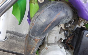 KAWASAKI KX60 2024 KX060B