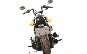 HARLEY FXS 2011 JP5